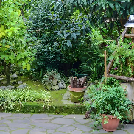 1 * Sorrento