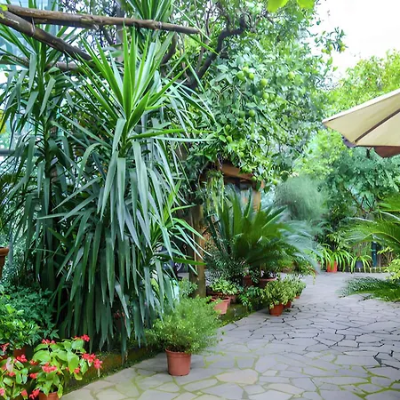 1 * Sorrento