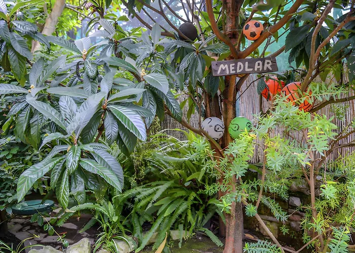 1 * Сорренто